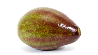 How much guacamole can you get from the world's heaviest avocado?